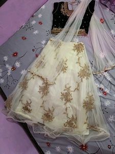 Embroidered Lehenga Skirt