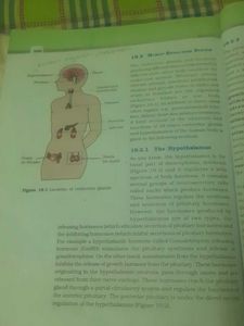 NCERT