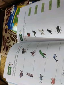 Activity Books For Kids