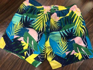 Speedo Swim Trunks