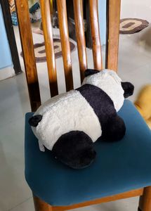 New Panda And Tiger Offer