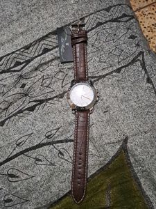 Brand New Tim Berto Watch In Brown Strap