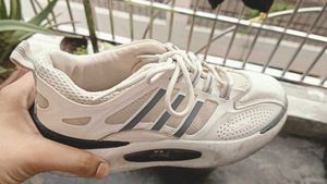 Stylish White Sneakers