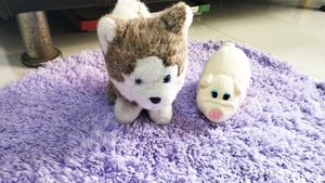 Combo Of Cat And Pound Puppies