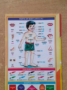 All In One Learning Book