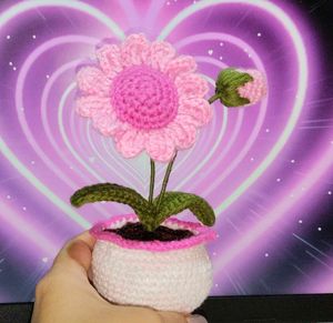 Crochet Pink Flower in Pot