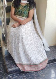 Elegant Ethnic Gown