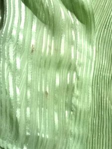 Green Sheer Top