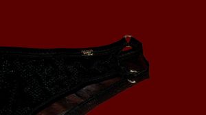 Black Lace Lingerie Bottom