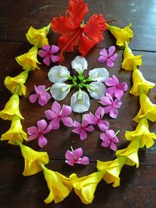Combo Four Flowers Plants