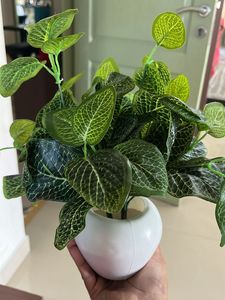 Artificial Plant