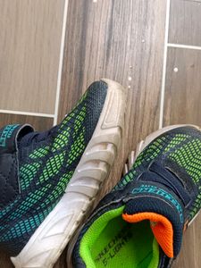 Combo Of 2 Sketchers Shoes