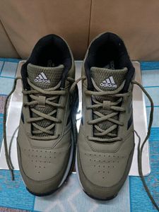 New ADIDAS Shoes