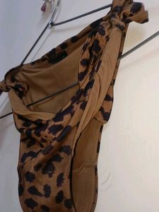 Animal Print 🐾