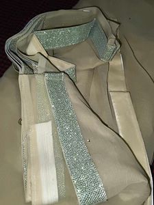 Elegant Beige Net Dupatta