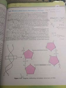 Biology Ncert Class 11