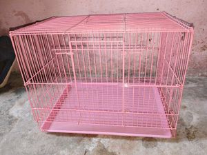 Cage For Birds