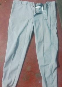 Pant