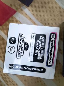 Phantom 105 Gaming Earbuds