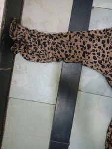 Brown Top For Girls Clg Wear 😍