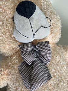Giant Teddy