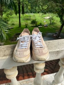 Lacoste Sneakers