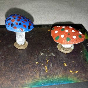 Mashroom Showpeace.