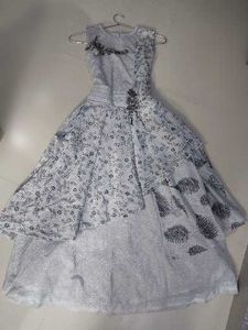 Elegant Embellished Dress