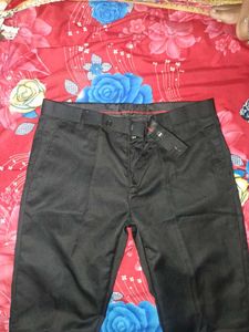 Pant