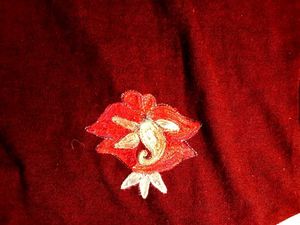 Embroidered  Woollen Kurta