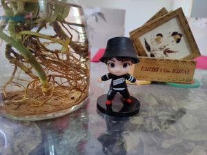 Jungkook 🫰❤️