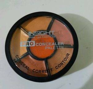 Insights Cosmetics Concealer Palette