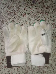 Cricket Hand Gloves