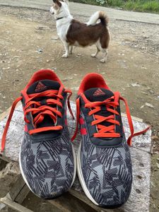 Adidas Sneakers