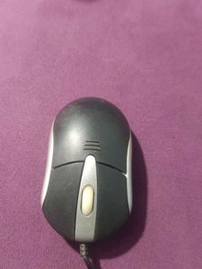 computer  mouse