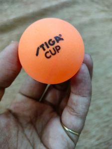 TIGA CUP
