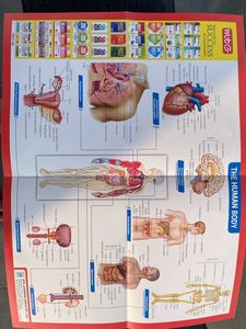 NCERT Fingertips [Biology] Class 11+12 By MTG