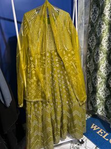 Embroidered Chartreuse Indian Dress