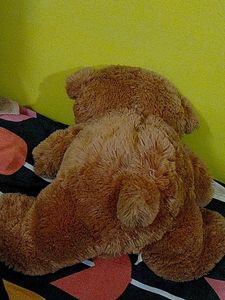 Brown Teddy Bear