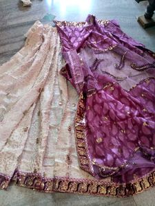 Dual Colour Sequence Work Saree