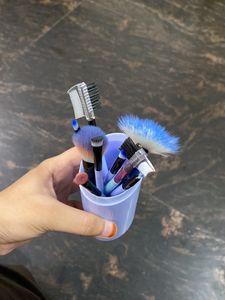 Makeup Brushes Set Of 12