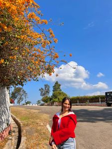 SAVANA Cable Knit Cardigan