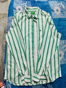 Branded Shirt For Men