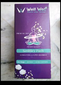 Wellwet Pads 2 Box