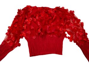 Beautiful Red Party Wear Crop Top