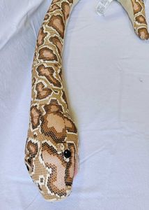 IKEA Djungelskog Glove Puppet Snake/burmese Python