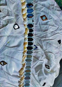 Beautiful White Lahenga Choli
