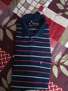 Striped Polo Shirt