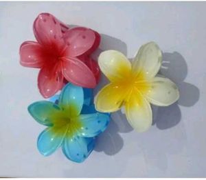 Claw Clips