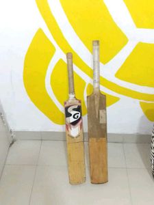 DS Cricket Kit